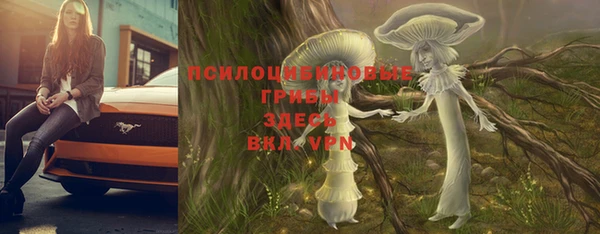 молекула духа Карталы