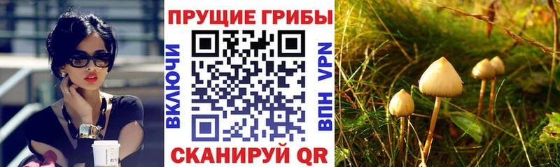 Псилоцибиновые грибы прущие грибы Феодосия