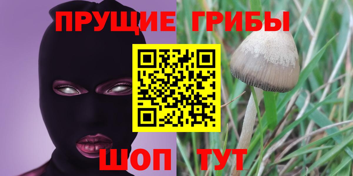 Галлюциногенные грибы мицелий Феодосия